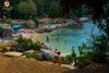 Rovinj Lone Beach trees