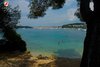 Rovinj Lone Beach clear blue water