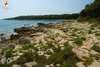 Panorama plaže Palud Rovinj