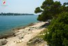 Vista sull'isola di S. Andrea