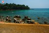 Rovinj Centener Cuvi Sunbathing on te rocks