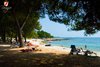 Rovinj Centener Cuvi View on the beach from the forest