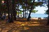 Rovinj Centener Cuvi Dock chairs under the trees