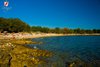 Panorama plaže Cisterna Rovinj