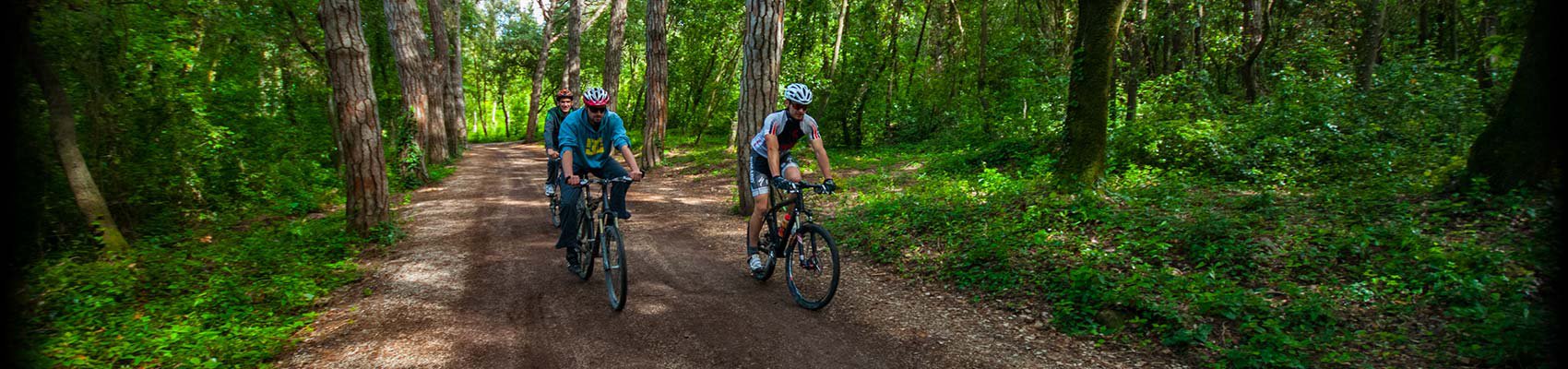 Staza Svete Eufemije - Rovinj Bike Experience