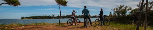 Giro in bici lungo la costa