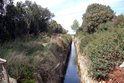 Palud Ornithological Reserve Rovinj