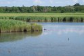 Palud Ornithological Reserve Rovinj