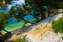 Rovinj - Zlatni rt and Škaraba Park Forest