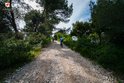 Rovinj - Zlatni rt and Škaraba Park Forest