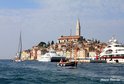 Blick auf den Hafen von Rovinj